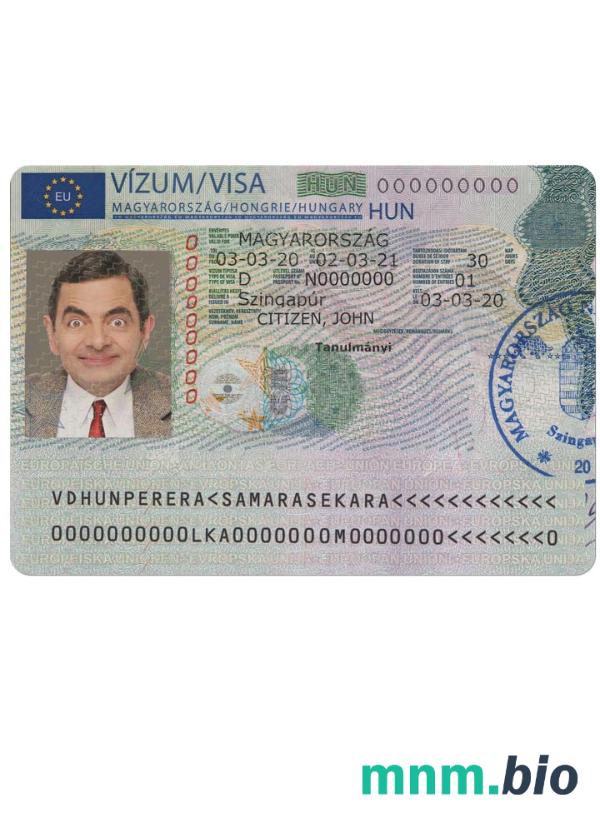 Hungary travel visa version 2